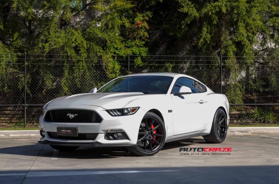 FORD MUSTANG EFS1 MATTE BLACK